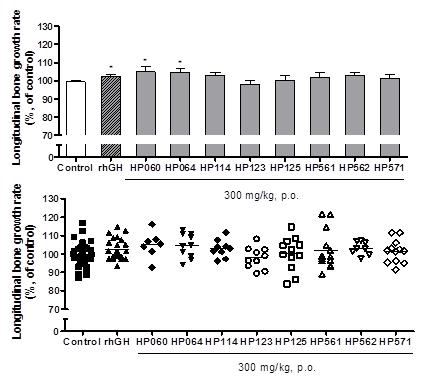 Longitudinal bone growth in rats