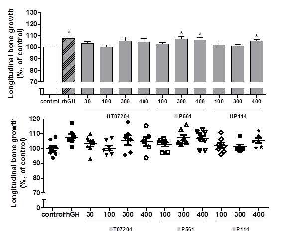 Longitudinal bone growth in rats