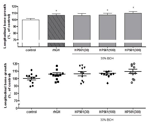 Longitudinal bone growth in rats