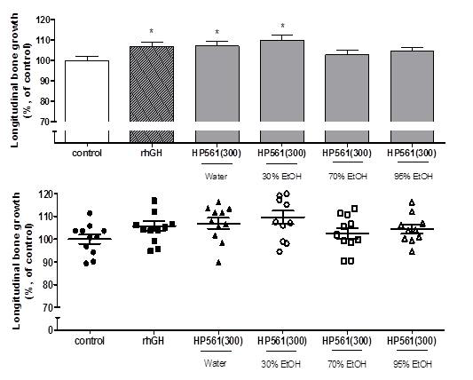 Longitudinal bone growth in rats