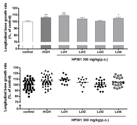 Longitudinal bone growth in rats