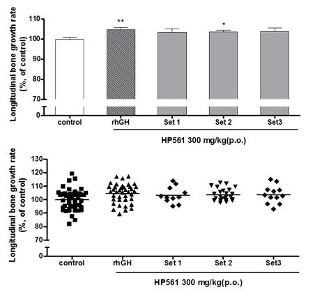 Longitudinal bone growth in rats