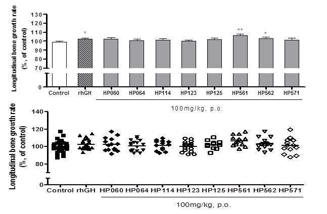 Longitudinal bone growth in rats