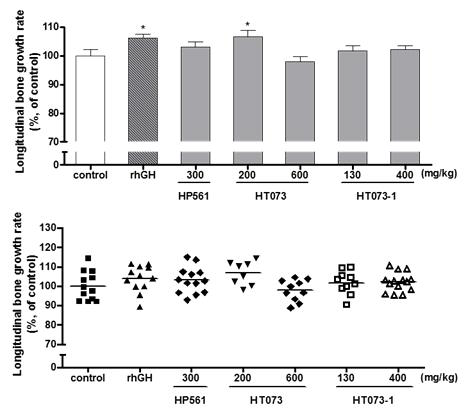 Longitudinal bone growth in rats