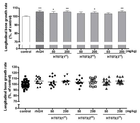 Longitudinal bone growth in rats