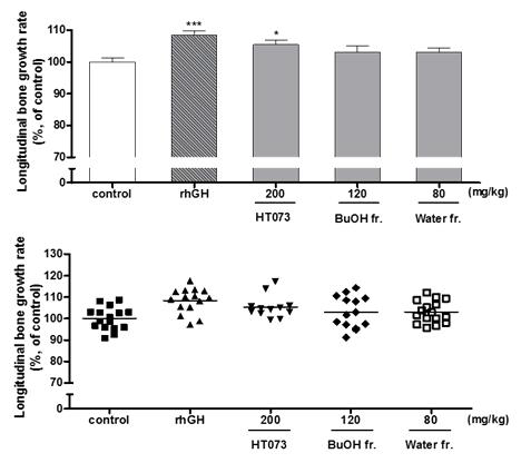 Longitudinal bone growth in rats