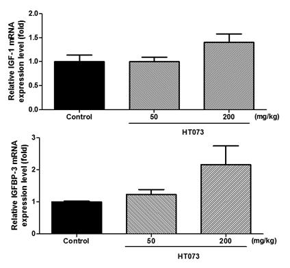 Expression levels of IGF-1 and IGFBP-3 in the livers