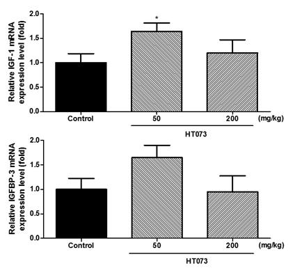 Expression levels of IGF-1 and IGFBP-3 in the growth plate