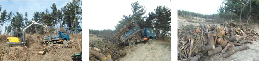 조사지 2의 소나무재선충 피해목 수집작업시스템 모습