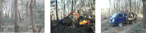제주시 아라동의 소나무재선충 피해목 수집작업시스템 모습