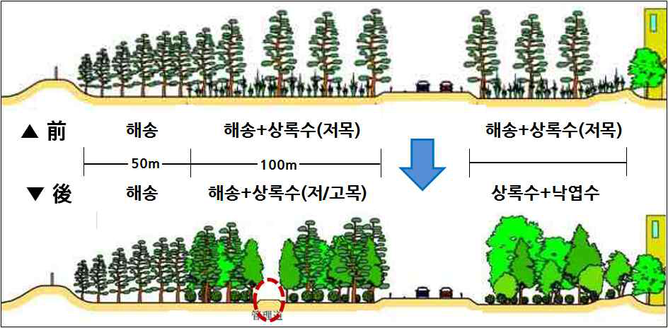 지바현 해안송림 방제대 (곰솔→곰솔+상록/낙엽수)