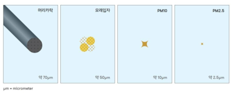 초미세먼지 (PM2.5)와 미세먼지 (PM10)의 크기 개념도.