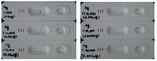 개발된 래피드 키트의 성능 검증. 항원으로 사용된 H. triquetra α-tubulin의 경우 2.4 ng까지 검출 가능