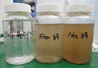 Net 농축 시료(좌) / 필터 농축 시료(우) 비교