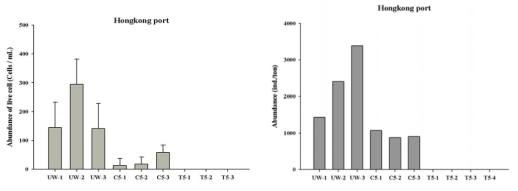홍콩 선상 시험 조건에서 살아 있는 10-50㎛ 생물과 50㎛ 이상 생물의 현존량