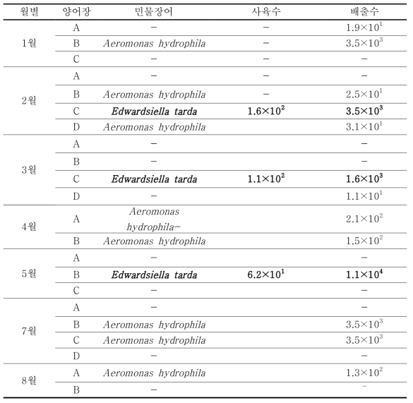 민물장어 양어장내의 에드와드균의 검출결과