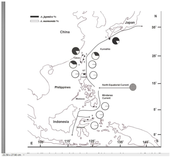 동아시아에서 A, japonica와 무태장어 (A, marmorata)의 상대적인 분포를 보여주는 지도.