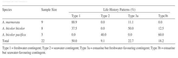 Percentages of Anguilla marmorata, A. bicolor bicolor and A, bicolor pacifica having different life history patterns as inferred from otolith Sr:Ca ratios.