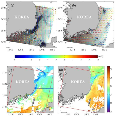 동해 용승 시의 고해상도 연안해상풍 및 해수면온도 분포.