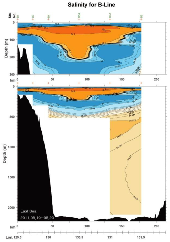 2011년 8월 B line 염분 분포