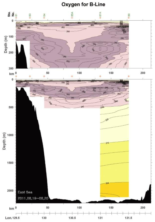 2011년 8월 B line 용존산소 분포