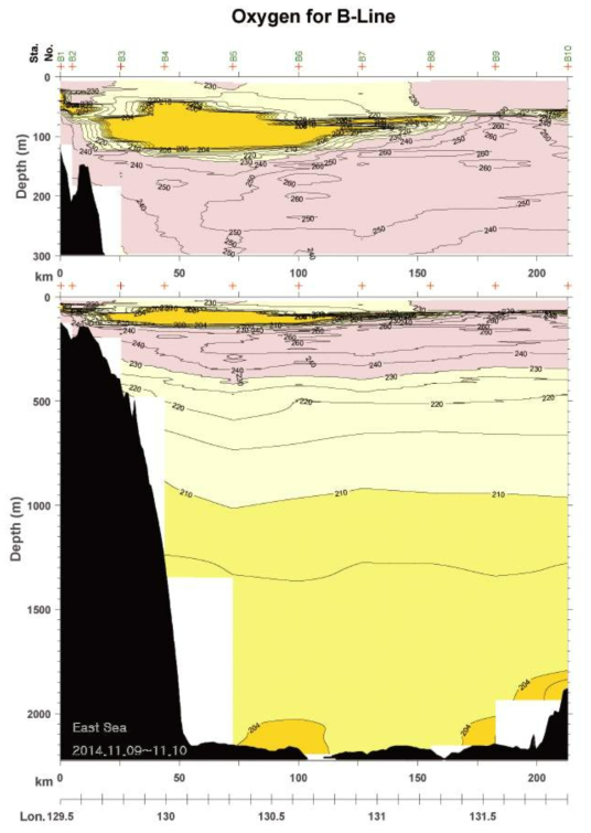 2014년 11월 B line 용존산소 분포