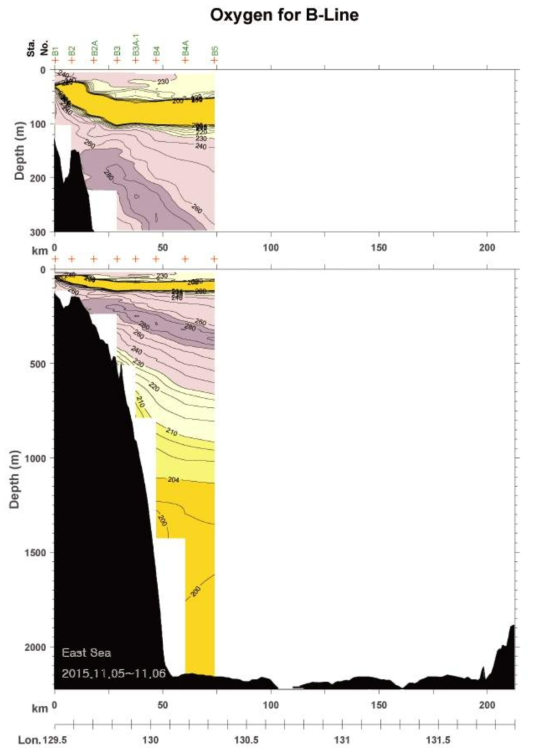 2015년 11월 B line 용존산소 분포