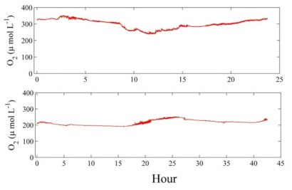 용존산소 측정결과: (상) 불가리아 BY, (하) 동해 후포
