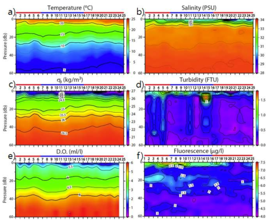 여름철 수온, 염분, 밀도, 탁도, 용존산소, 엽록소 형광값의 수직-시간 분포변화