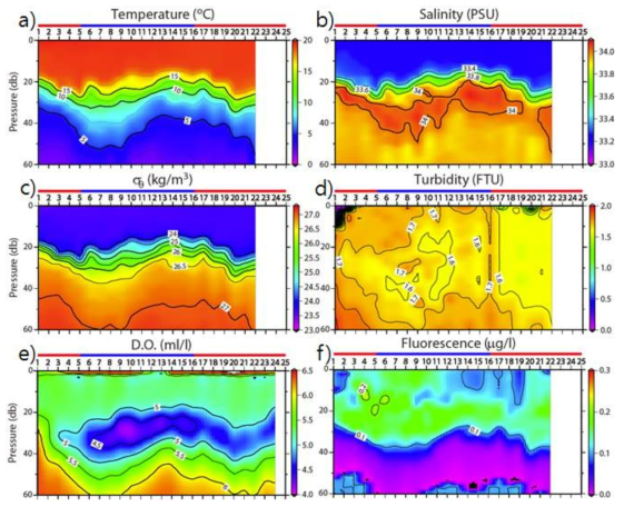 가을철 수온, 염분, 밀도, 탁도, 용존산소, 엽록소 형광값의 수직-시간 분포 변화