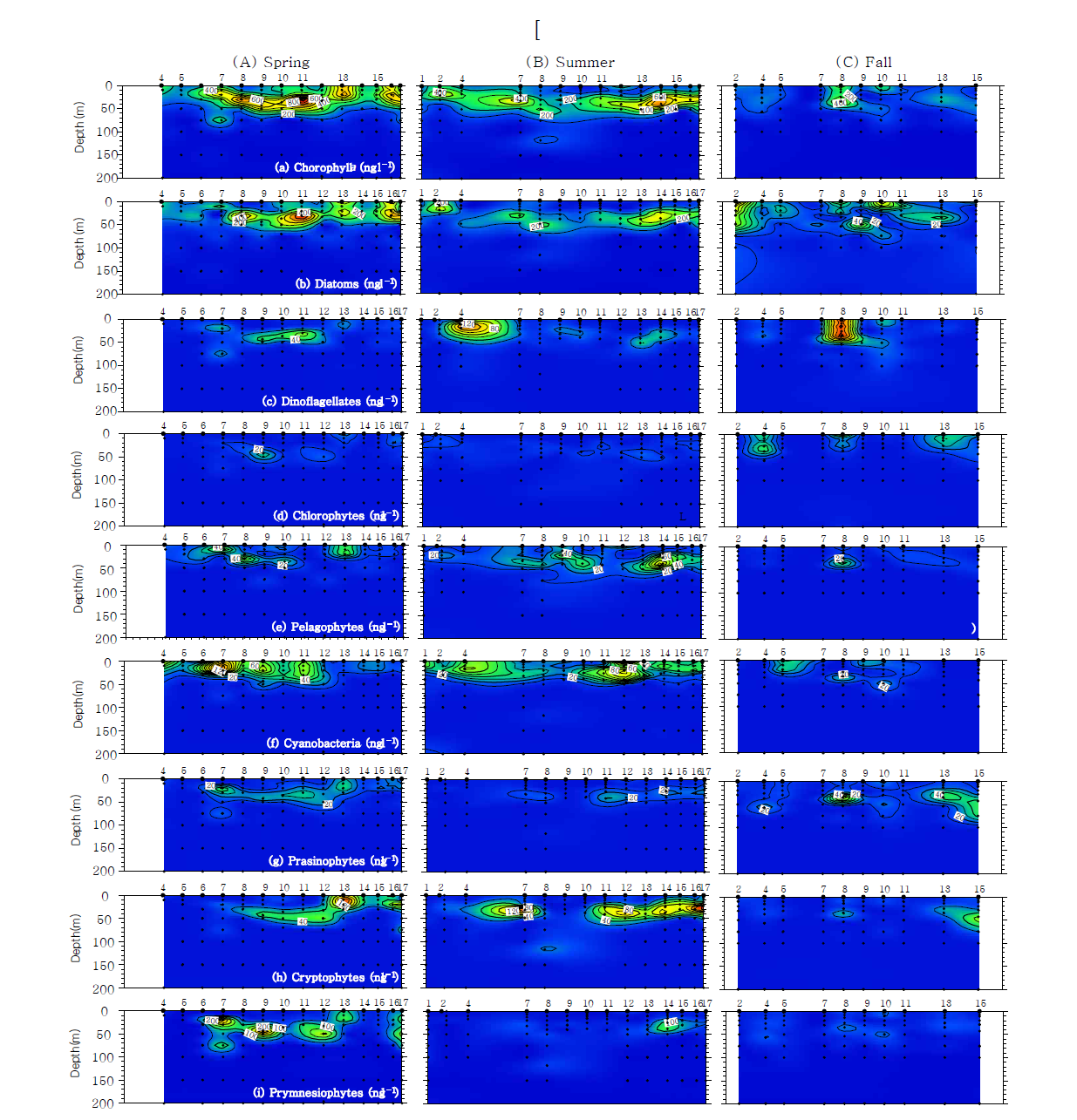 M-line에서 클로로필 a와 8개의 식물플랑크톤 분류군(diatoms, dinoflagellates, cryptophytes, cyanobacteria, prasinophytes, prymnesiophytes, pelagophytes, 그리고 chlorophytes) 계절별 연직분포