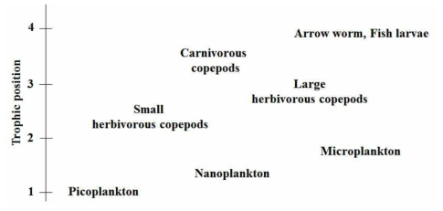 picoplankton의 질소안정동위원소비를 기초로 하여 나타낸 동해 동물플랑 크톤의 영양위치