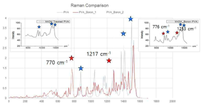 계산된 라만 스펙트럼과 실제 분석된 라만 스펙트럼 비교