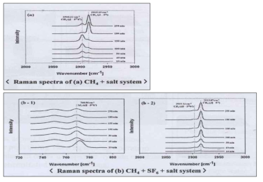 메탄 (위쪽), 메탄+SF6 (아래쪽) 계의 성장 거동에 관한 라만 분석 결과