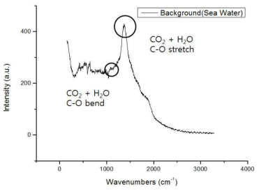 Raman background data at 3.5 % artificial seawater, which is saturated with CO2