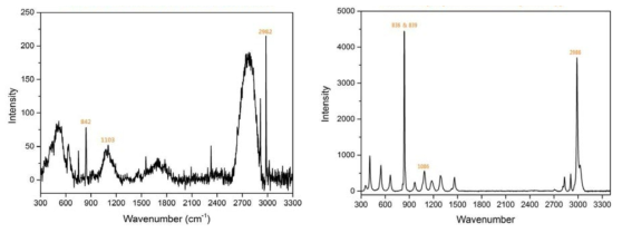 HFC 134a 가스 및 액체 상태의 Raman spectrum