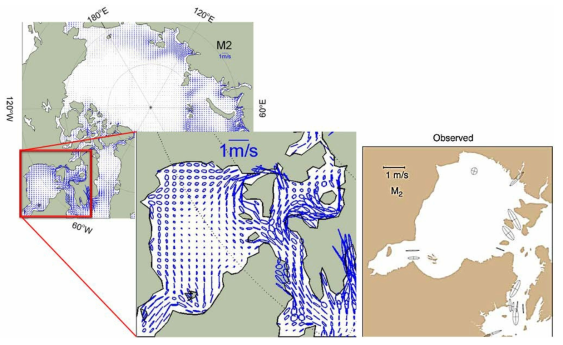 M2 분조 조류 타원도 (좌: 모델, 우: 관측(Chen et al. 2009))