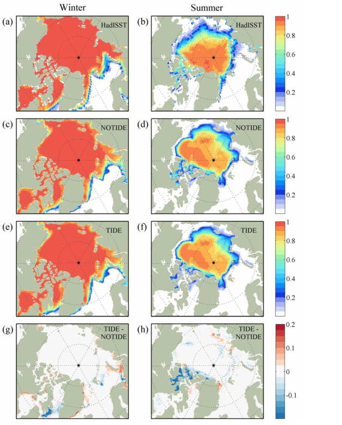2003～2008년 평균 겨울철(2～3월, a, c, e, g), 여름철(8～9월, b, d, f, h) 해빙 농도 공간분포. (a)와 (b)는 관측(HadISST)을 나타내며 (c)와 (d)는 NOTIDE, (e)와 (f)는 TIDE, (g)와 (h) 는 두 실험 결과의 차이(TIDE-NOTIDE)를 의미한다.