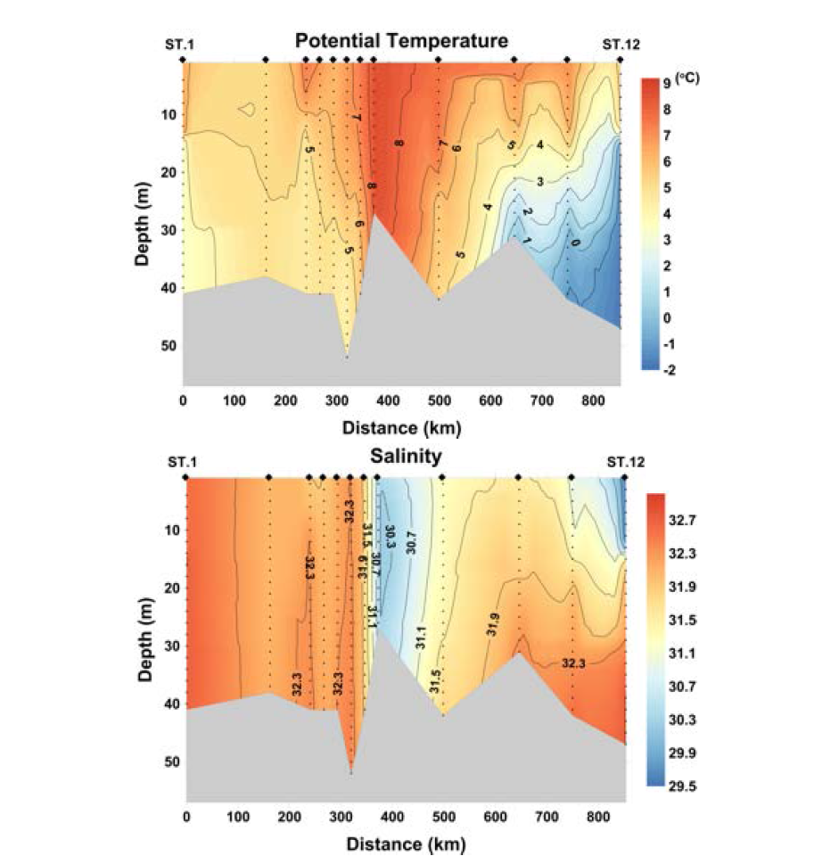 CTD 정점1에서 12까지 단면에서의 수온(상) 및 염분(하)의 수직구조 분포