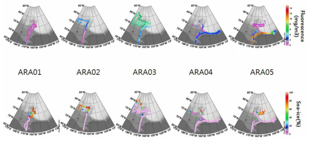 Spatial distribution of fluorescence (upper panel) and of sea-ice concentration (lower panel)along the cruise track in the Chukchi Sea, the Beaufort Sea, and the Arctic basin. ARA01 was conducted in July – August, 2010, ARA02 in August, 2011, ARA03 in August – September, 2012, ARA04 in August – September, 2013, and ARA05 in August – September, 2014.