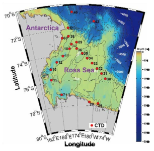 ANA06B 항해기간 (2015년 1월 10일 ~ 31일) 중 영양염 시료 채취 정점도. 남극 로스해 72。S에서 77。S 그리고 165。E ~ 179。W 사이에 위치한 해역.
