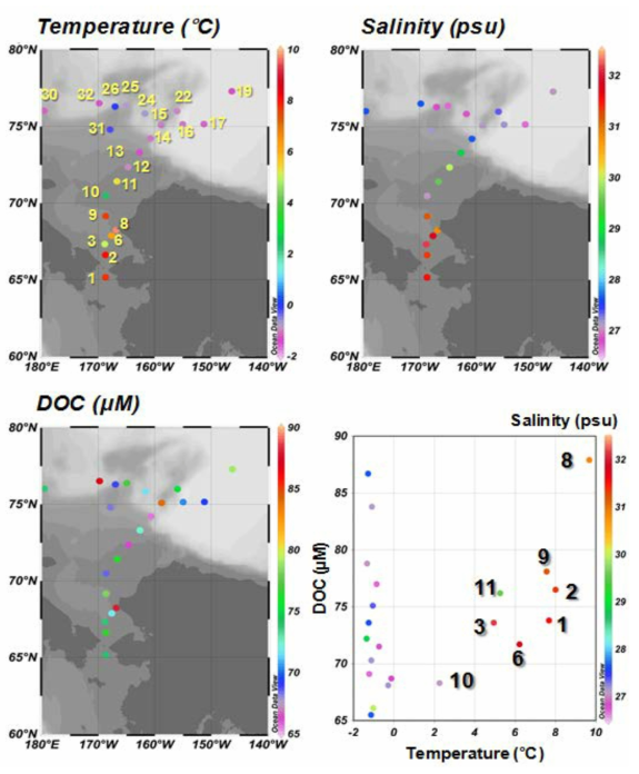 Spatial distribution of temperature, salinity, and dissolved organic carbon concentration in surface water of the Chukchi Sea (ARA05)