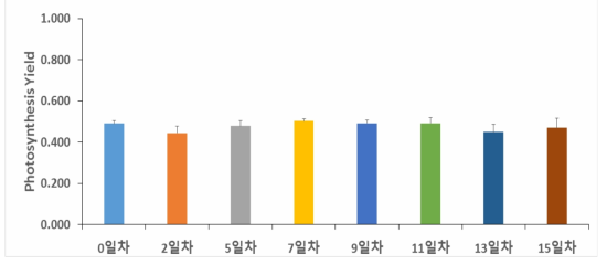 Synedropsis sp. -3℃, 34‰의 광합성 yield.