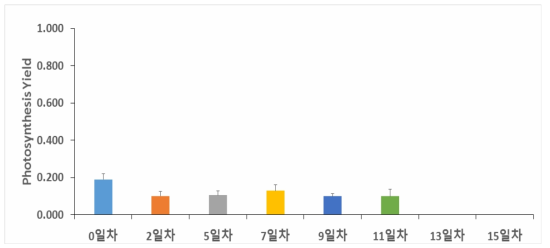 Synedropsis sp. -3℃, 70‰의 광합성 yield.