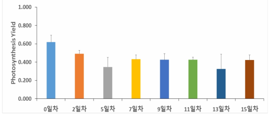 P.pseudodenticulata -3℃, 34‰의 광합성 yield.