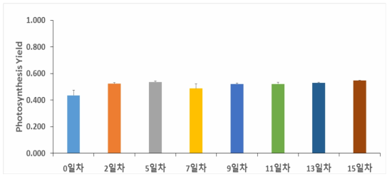 Synedropsis sp. 2℃, 34‰의 광합성 yield.