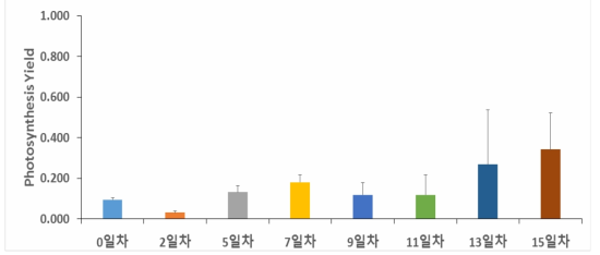 Synedropsis sp. 2℃, 70‰의 광합성 yield.