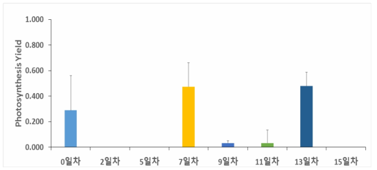 P.pseudodenticulata 2℃, 70‰의 광합성 yield.
