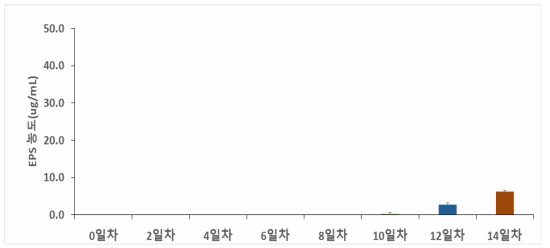 P.pseudodenticulata -3℃, 70‰의 EPS 생성량.