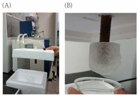 EPS의 얼음흡착 유지 실험. (A) 콜드핑거 장치. (B) f/2를 이용한 얼음생성.